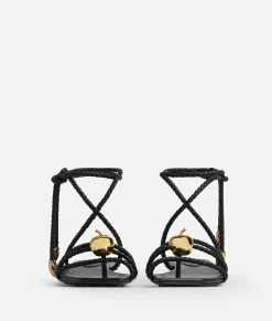 Bottega Veneta Adam Flat Sandal Black New