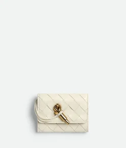 Bottega Veneta Andiamo Small Envelope Sea salt Online