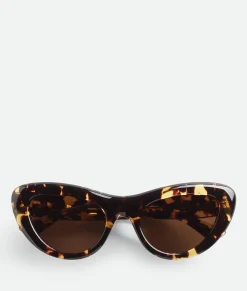 Bottega Veneta Bombe Cat Eye Sunglasses Havana/brown Sale